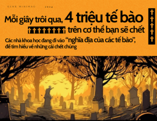 Mỗi giây, 4 triệu tế bào trên cơ thể bạn sẽ chết: Các nhà khoa học đang đi vào &quot;nghĩa địa của các tế bào&quot; để tìm hiểu tại sao lại vậy?