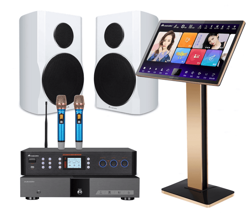 101 Karaoke Professional Ultimate Karaoke Machine Bundle